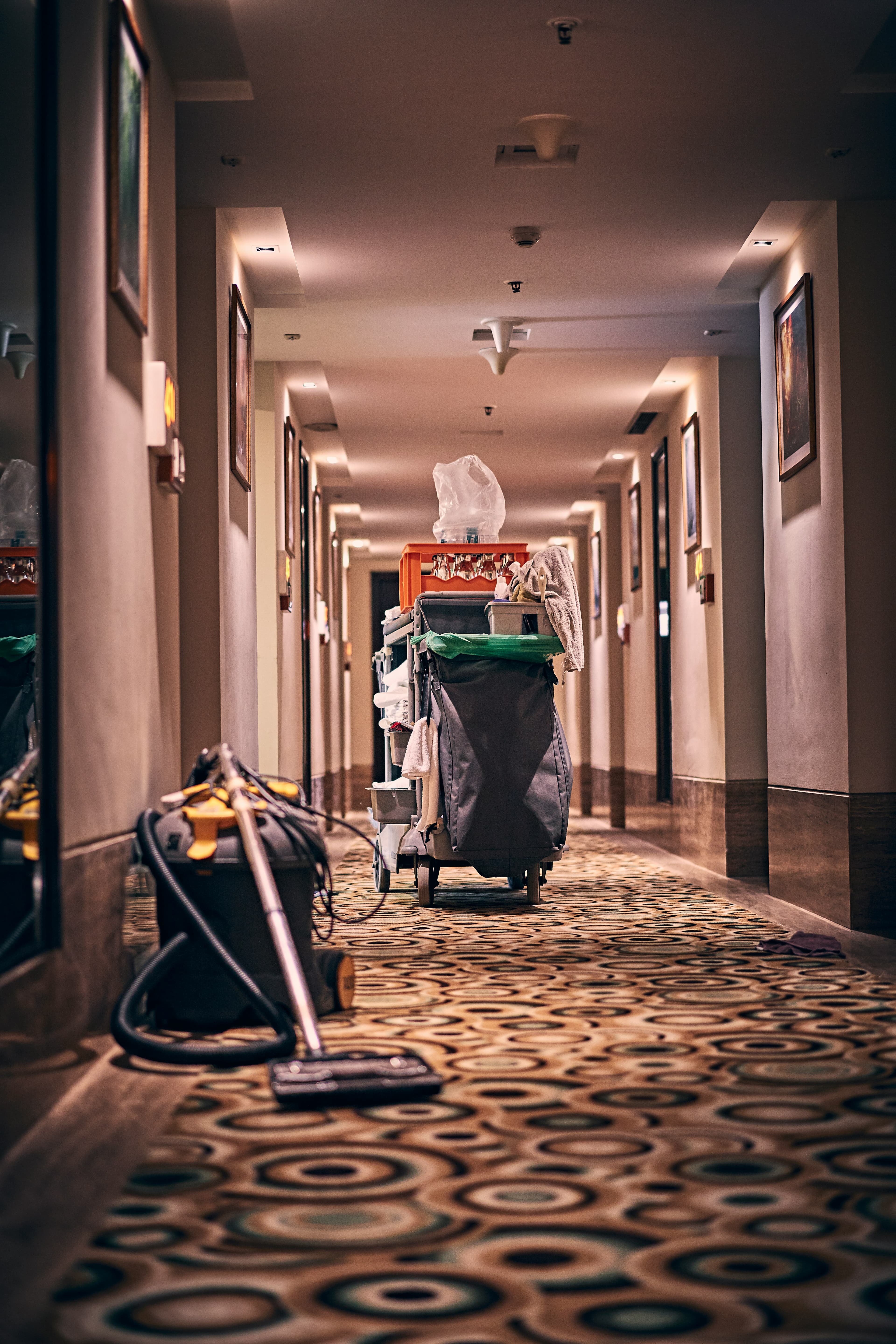 Hotels & Airbnb